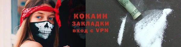 мет Новозыбков