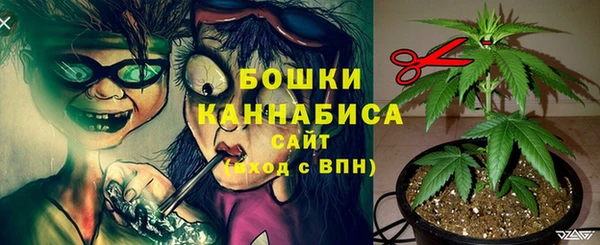 дурь Алзамай