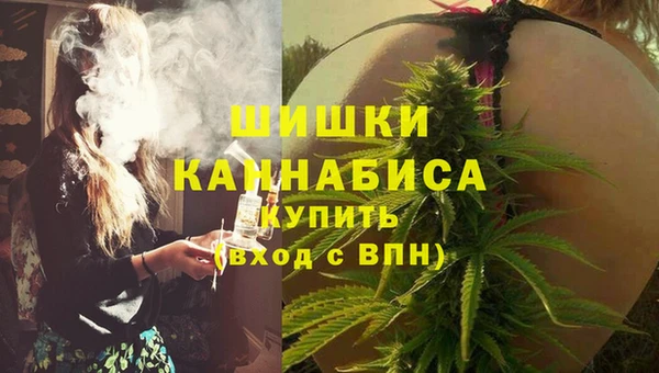 дурь Алзамай