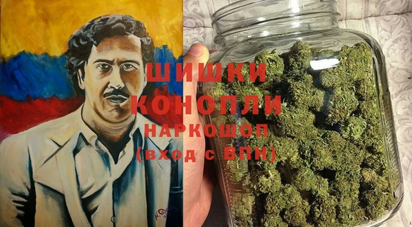 ПСИЛОЦИБИНОВЫЕ ГРИБЫ Алексин