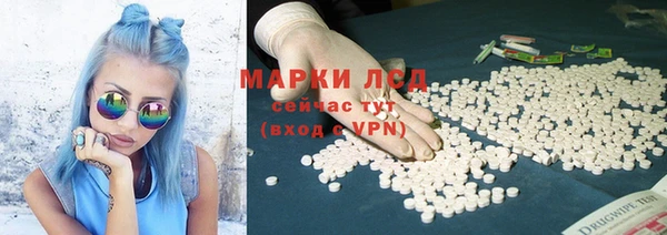 ПСИЛОЦИБИНОВЫЕ ГРИБЫ Алексин
